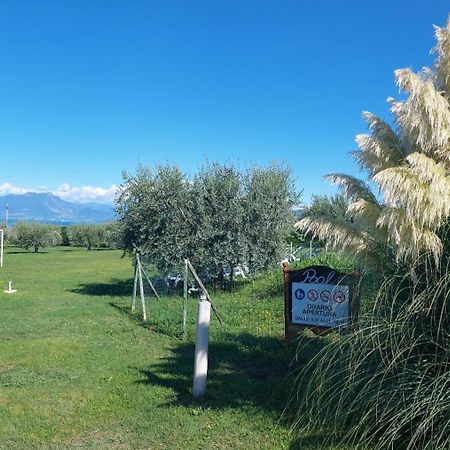 Agriturismo Al-Bor Lazise Zewnętrze zdjęcie