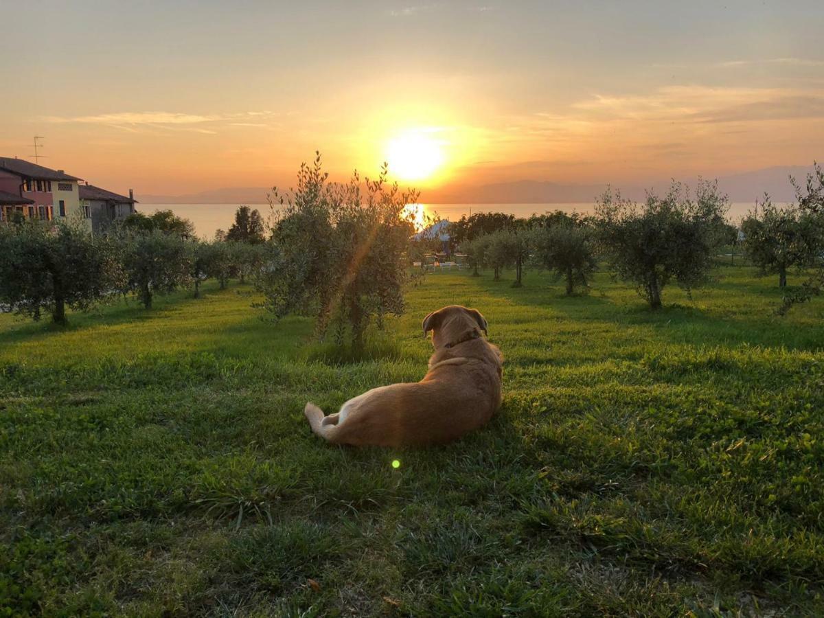 Agriturismo Al-Bor Lazise Zewnętrze zdjęcie
